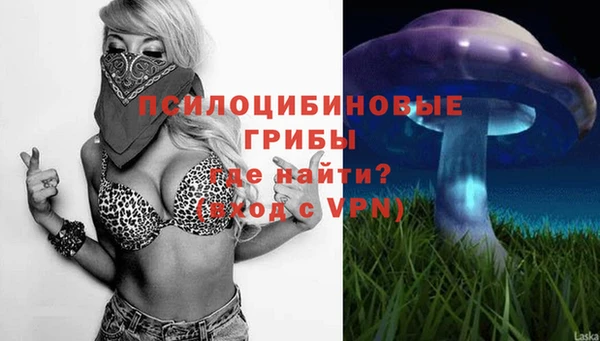 спиды Абинск
