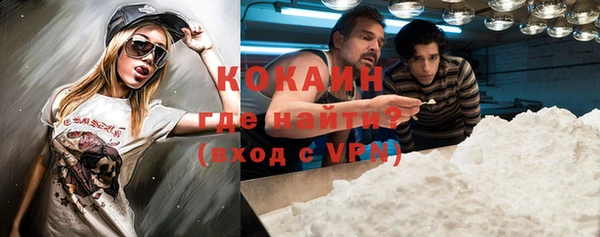 соль ск Абаза