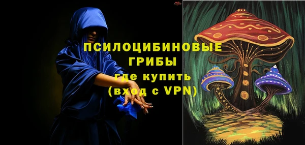 соль ск Абаза