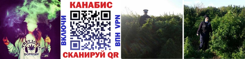 OMG маркетплейс  Духовщина  Конопля гибрид 